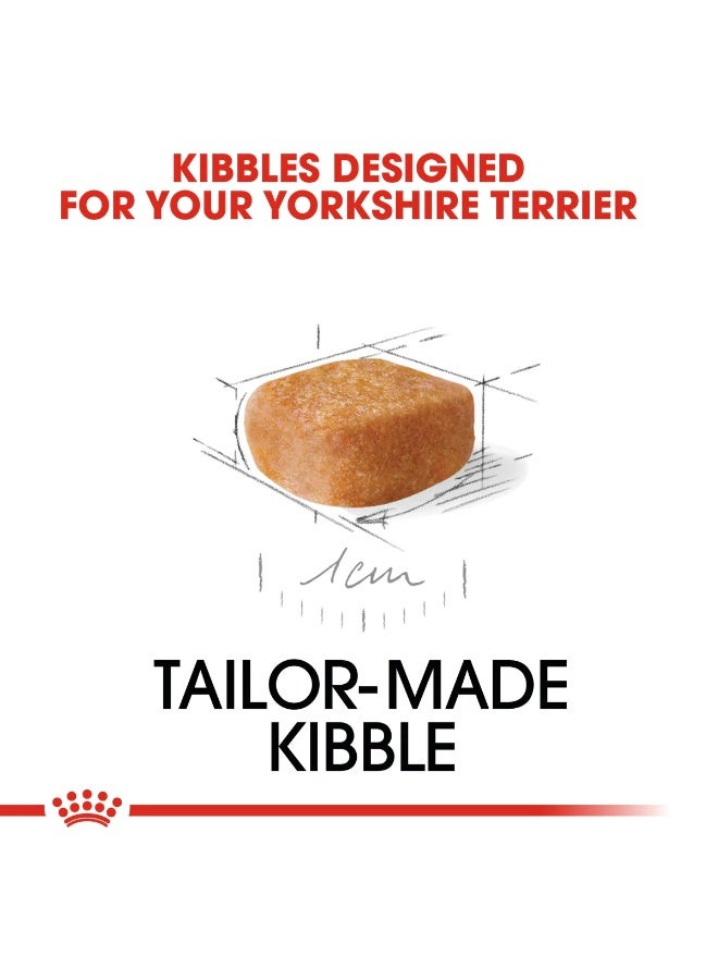 رويال كانين طعام جاف للجراء من فصيلة يوركشاير تيرير - 1.5 كجم تغذية مخصصة - Image 2